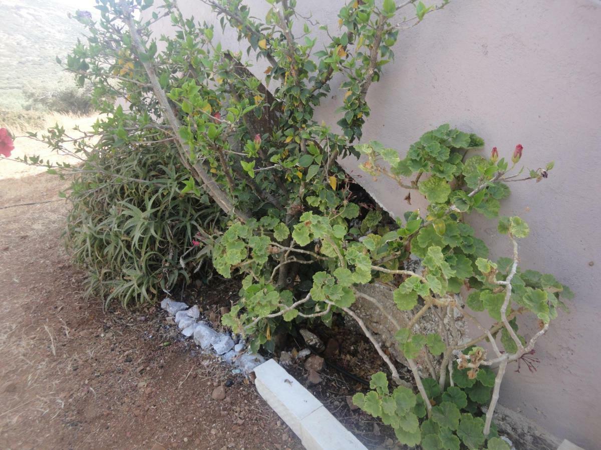 Papadiokampos Maissonete Roussa Limni Exterior foto